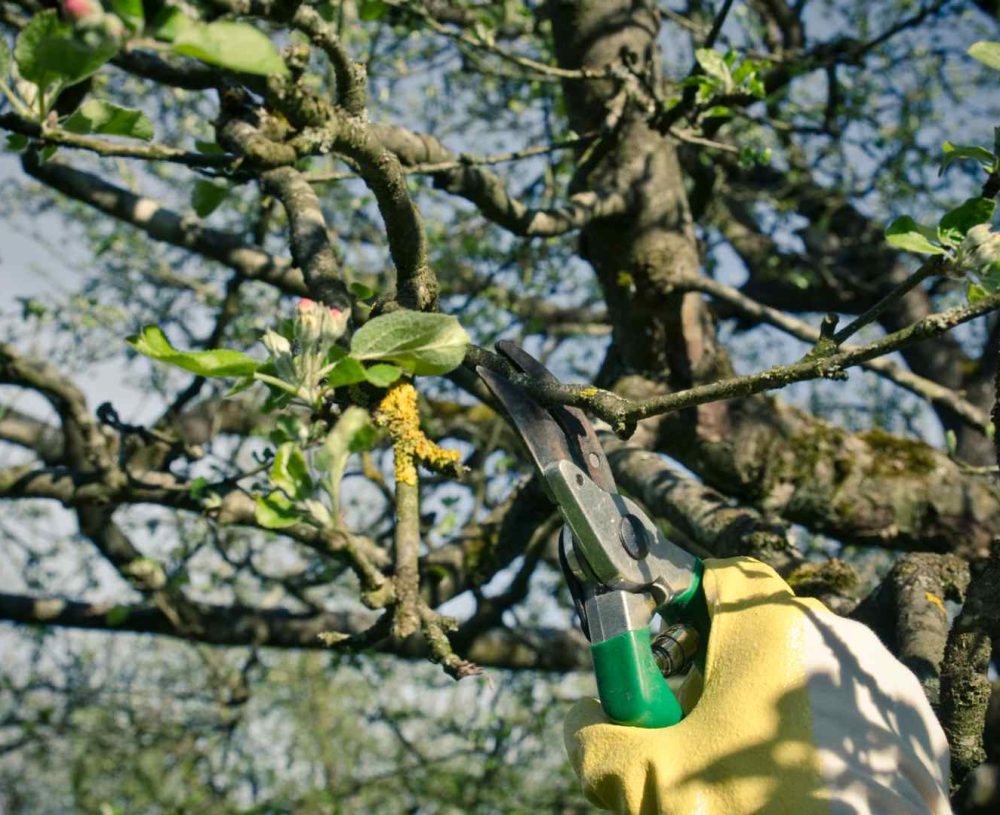 Posh Builders and Landscapers